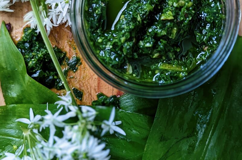 Wild Garlic and Lemon Pesto