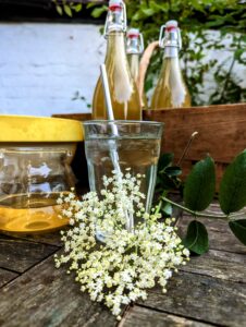 Elderflower flower sits on a table with a glass full of the best homemade elderflower cordial behind it. Three bottles of elderflower cordial sit behind that.