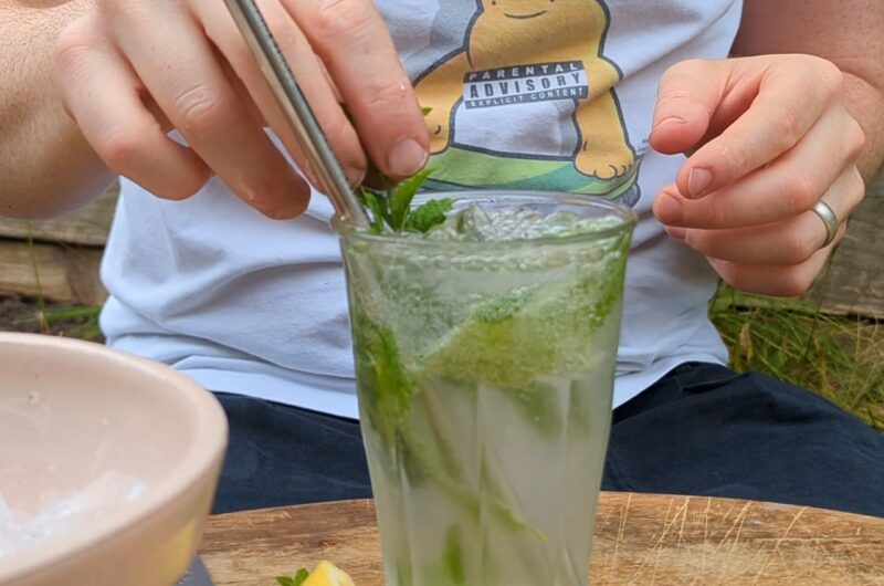 Lemon Balm & Elderflower Mojito