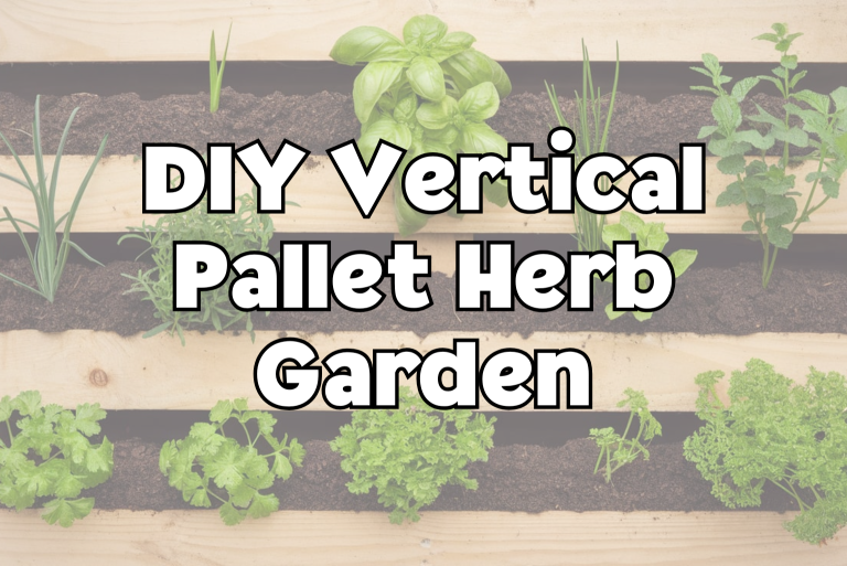 Pallet Herb